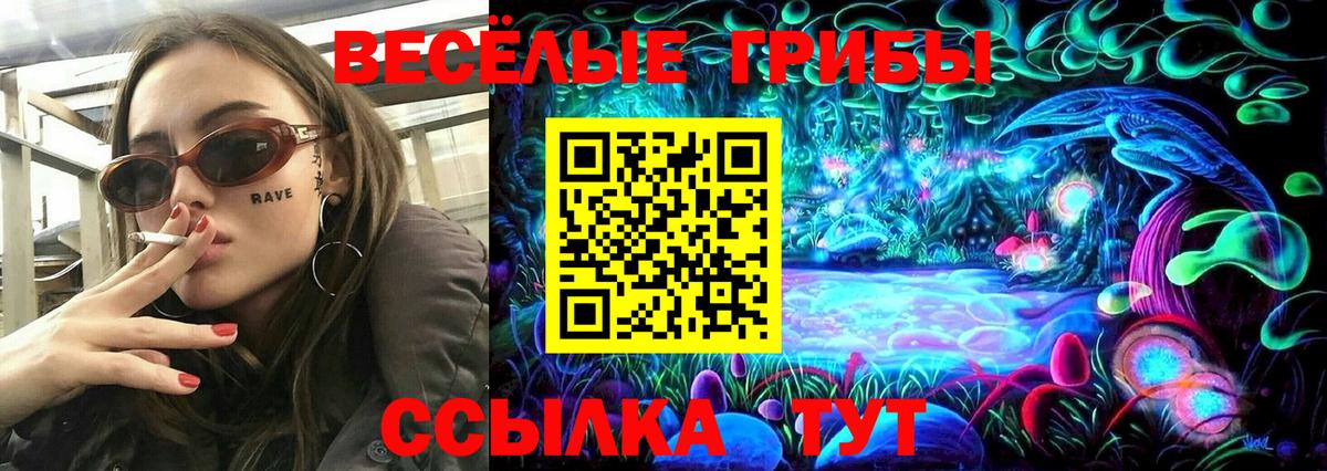 Галлюциногенные грибы Magic Shrooms  Вход с VPN  Красногорск  Псилоцибиновые грибы GOLDEN TEACHER 