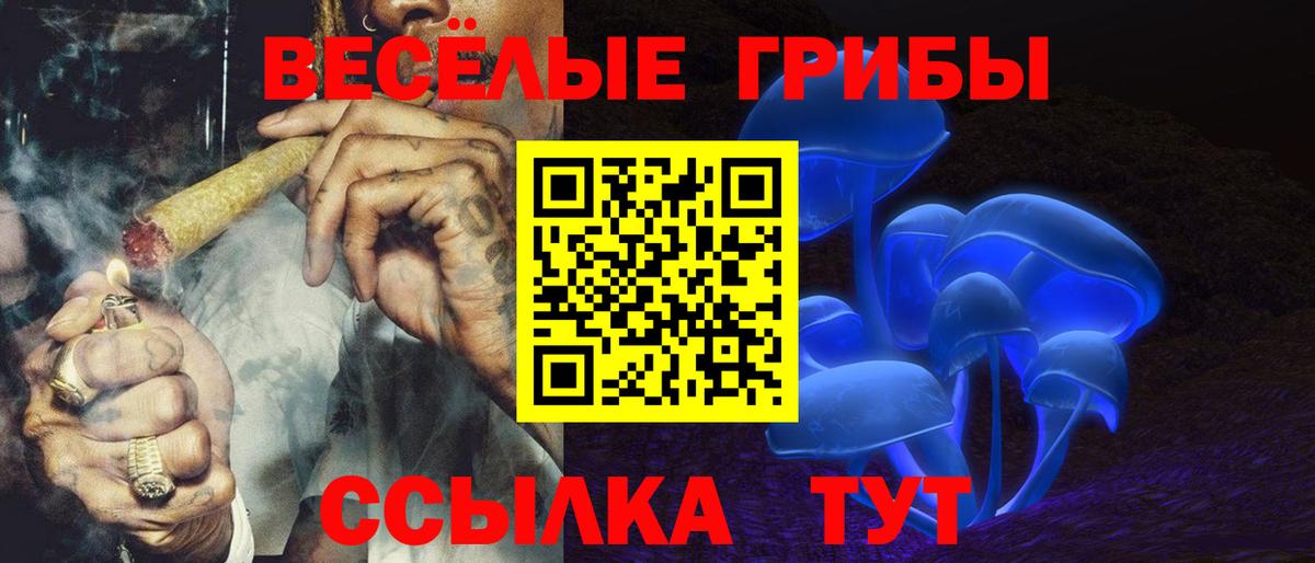 Галлюциногенные грибы GOLDEN TEACHER Красногорск